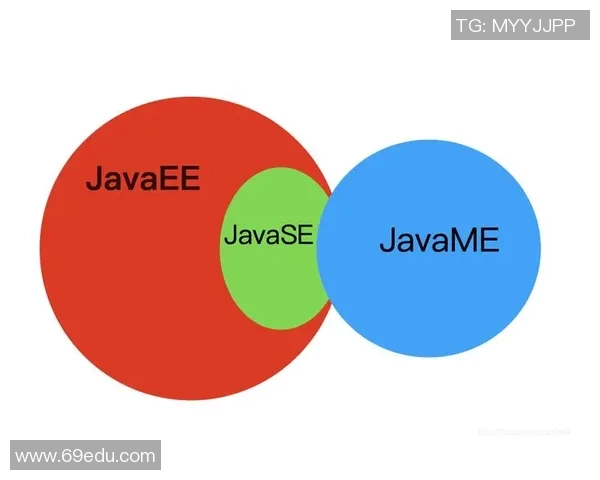 重庆网球队战术解析与对比探讨：优势与不足的全面剖析